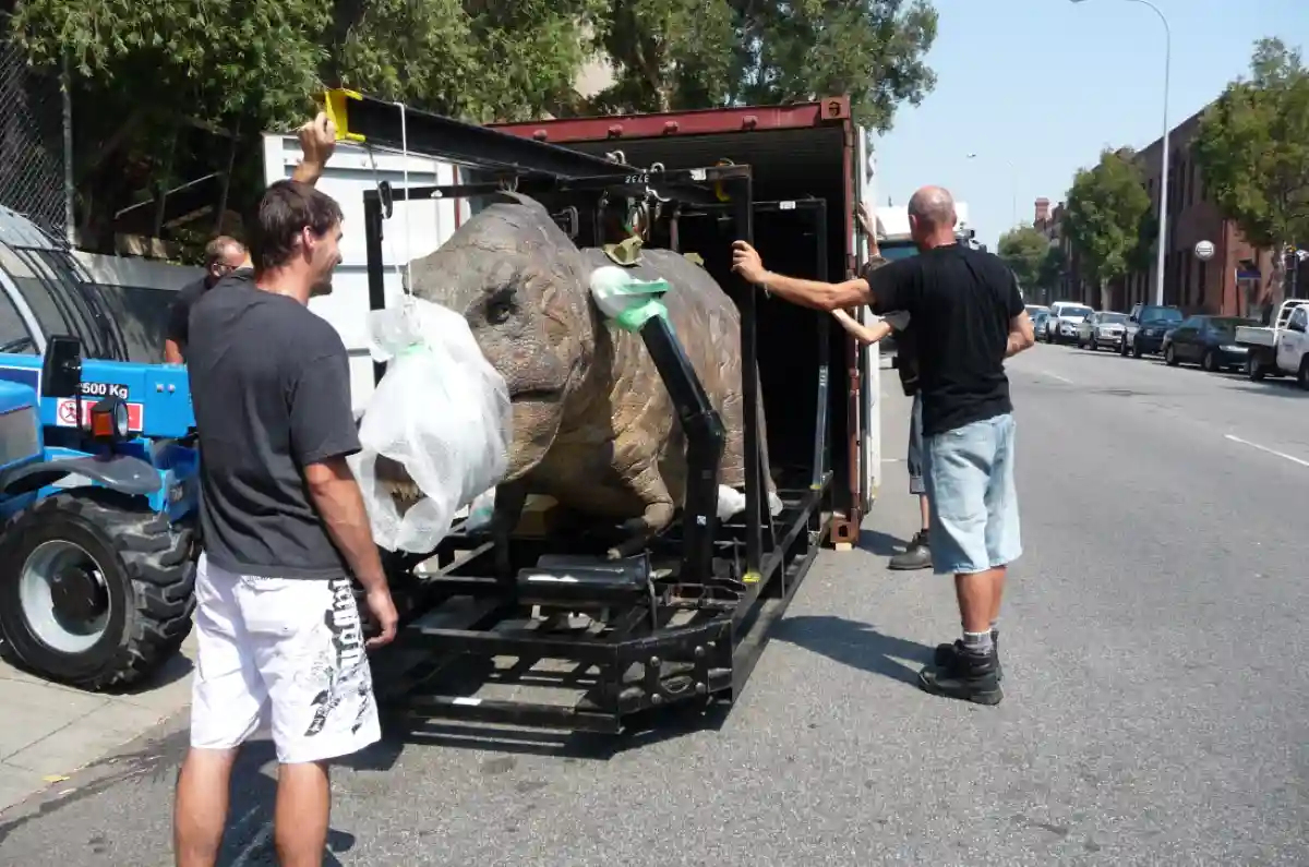 Dinosaur transportation pictures