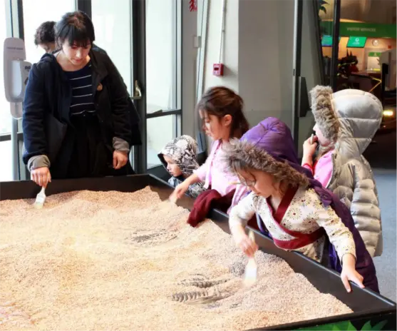 museum suppliers from China