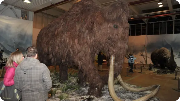 paleontology exhibition in Germany