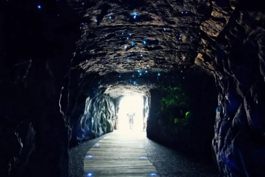 UV fluorescent cave