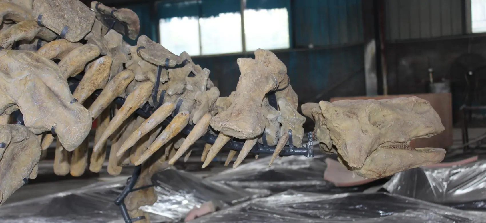 Sanhe Dinosaur Fossil Replica