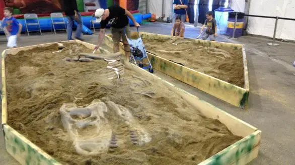 dinosaur exhibit fossil excavation experience