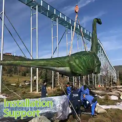 Installation Support