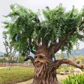 S1402001 Animatronic Tree with Talking H=6M (9)