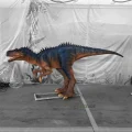 5M Static Allosaurus Dinosaur Model for Exhibit