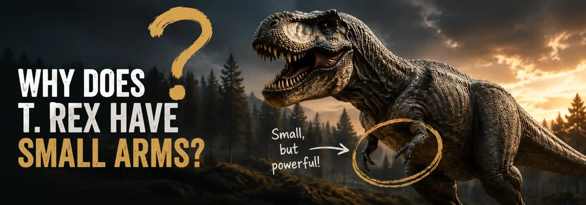 Infographic featuring a T. rex with highlighted small arms labeled "Small, but powerful!" illustrating the scientific question why does the T rex have small arms