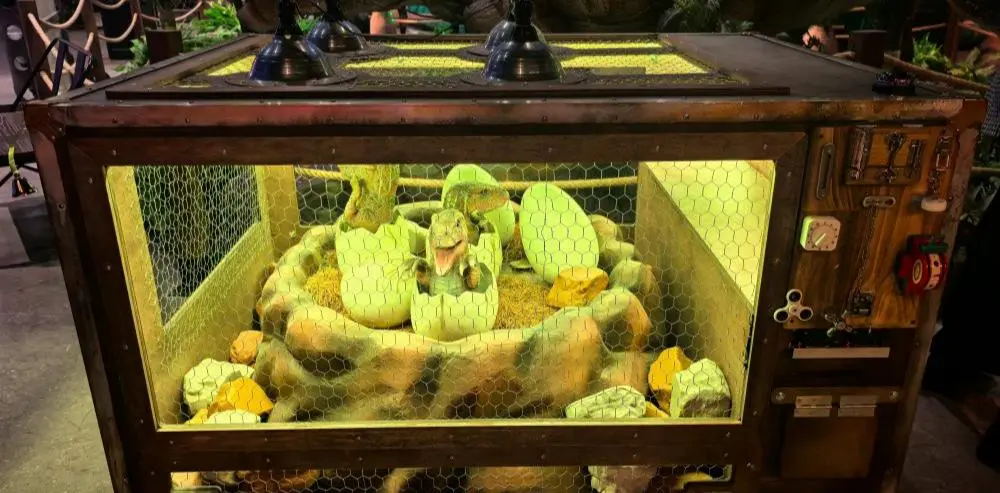 Animatronic dinosaur hatchling emerging from egg in interactive museum display incubator with heating lamps